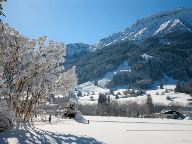 Skizentrum in Pfronten Steinach Eine zauberhafte Schneelandschaft in Pfronten-Steinach.